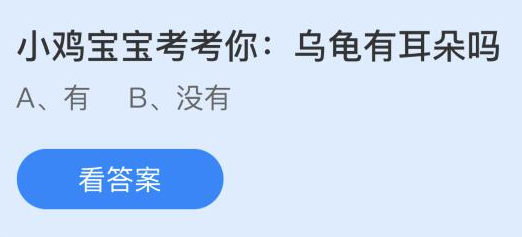 58d88尊龙乌龟有耳朵吗？12月4日蚂蚁庄园今日答案