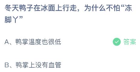 尊龙现金娱人生就是博冬天鸭子在冰面上行走为什么不怕冻脚丫？蚂蚁庄园小鸡课堂最新答案11月28日